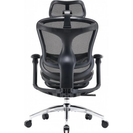 Офісне крісло Sihoo Doro C300L Mesh Black (DORO-C300L-A3-101)