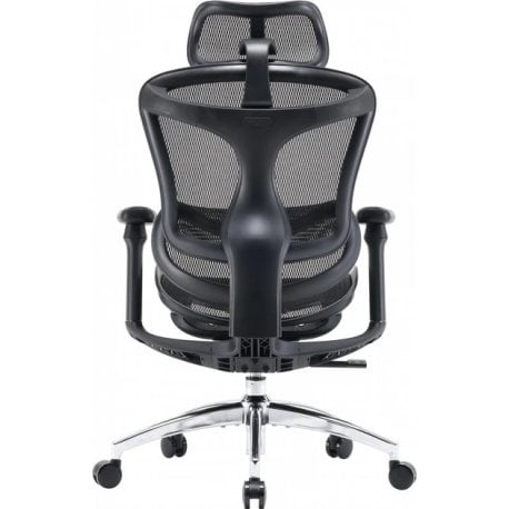 Офисное кресло Sihoo Doro C300L Mesh Black (DORO-C300L-A3-101)