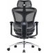 Офісне крісло Sihoo Doro C300L Mesh Black (DORO-C300L-A3-101)