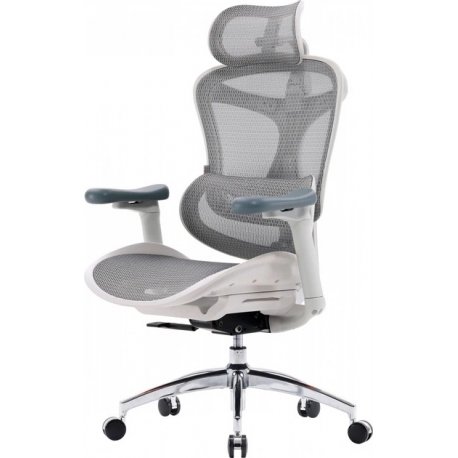 Офісне крісло Sihoo Doro C300L Mesh White (DORO-C300L-A3-102)