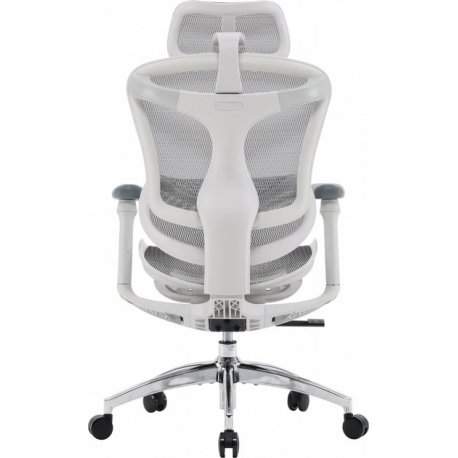 Офісне крісло Sihoo Doro C300L Mesh White (DORO-C300L-A3-102)