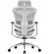 Офисное кресло Sihoo Doro C300L Mesh White (DORO-C300L-A3-102)