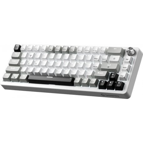 Клавиатура игровая GamePro MK116 Genesis Silverlight (MK116)