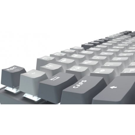 Клавіатура ігрова GamePro Genesis Metallic MK110G Outemu Red Switch Gray (MK110G)