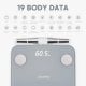 Смарт-весы Naipo Grey (NP-BS03) Смарт-весы Naipo Grey (NP-BS03)