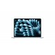 Apple MacBook Air 13" M5 Chip 16/512GB 2026 Sky Blue Apple MacBook Air 13" M5 Chip 16/512GB 2026 Sky Blue