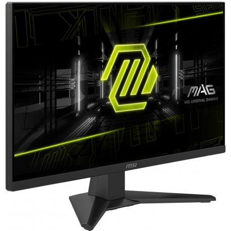 Монитор 24" MSI (MAG 242F)