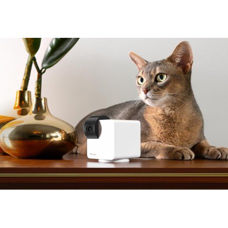 Компактная HD-камера Petcube Cam 360 (P36010US)