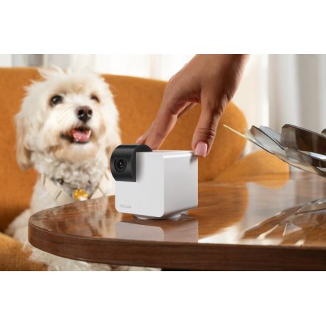 Компактная HD-камера Petcube Cam 360 (P36010US)