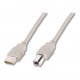 Кабель для принтера Digitus USB 2.0 AM/BM 1.8m Beige (AK-300102-018-E) Кабель для принтера Digitus USB 2.0 AM/BM 1.8m Beige (AK-300102-018-E)