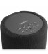 Акустична система Audio Pro A10 MkII W Black (90404289)