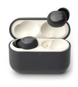 Бездротові навушники Final Audio ZE500 for ASMR Dark Gray (000012812)