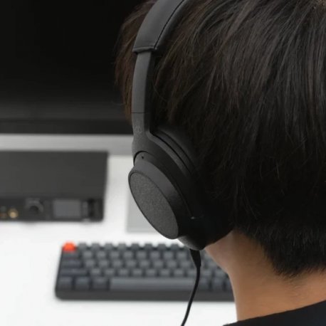 Бездротові навушники Final Audio UX5000 Black (000013375)