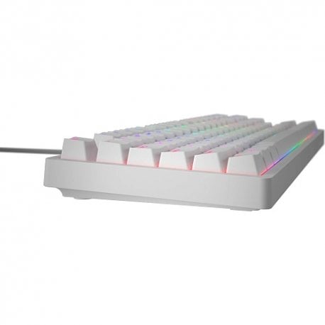 Клавиатура игровая Hator Rockfall 2 Mecha TKL Orange Switch White (HTK-521)