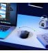 Беспроводная мышь Ugreen MU006 Ergonomic Wireless Mouse (90855)