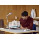 Конструктор LEGO Architecture Фонтан Треви (21062) Конструктор LEGO Architecture Фонтан Треви (21062)
