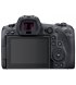 Фотоапарат Canon EOS R5 body Black (4147C027)