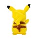 М'яка іграшка Pokemon Пікачу W14 (PKW2696) М'яка іграшка Pokemon Пікачу W14 (PKW2696)