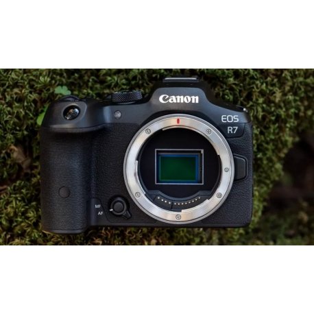 Фотоапарат Canon EOS R7 body Black (5137C041)