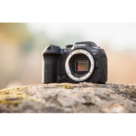 Фотоапарат Canon EOS R7 body Black (5137C041)