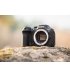 Фотоапарат Canon EOS R7 body Black (5137C041)