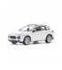 Автомодель Porsche Cayenne Turbo 1:24 (Random) (18-21056)