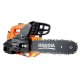 Пила ланцюгова бензинова Sequoia SPC0812 800Вт (SPC0812) Пила ланцюгова бензинова Sequoia SPC0812 800Вт (SPC0812)