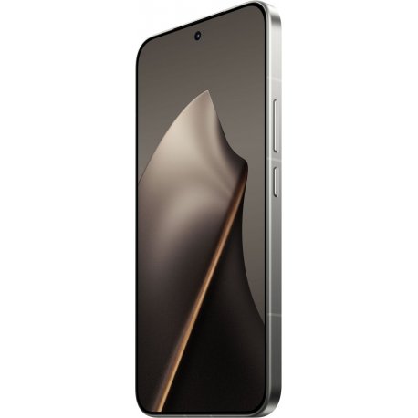 Xiaomi 15T Pro 12/256GB Gray