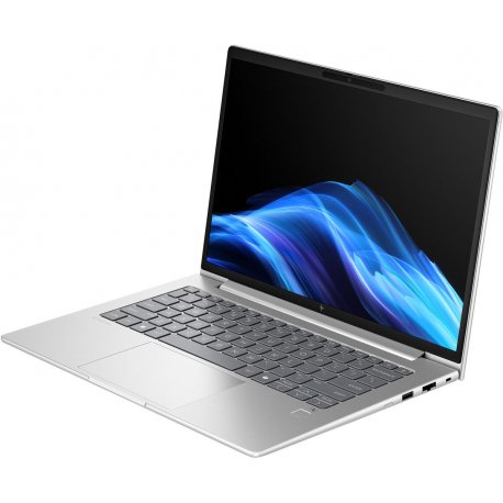 Ноутбук HP 6 G1a 14" Silver (AY4Z7AV_V3)