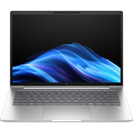 Ноутбук HP 6 G1a 14" Silver (AY4Z7AV_V3)