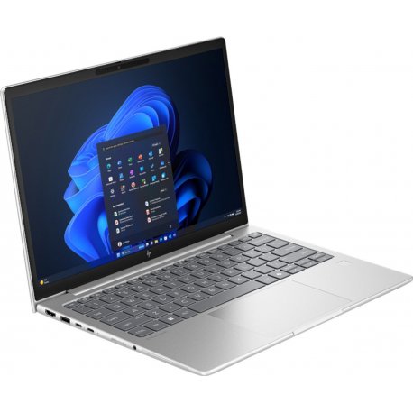 Ноутбук HP 6 G1a 14" Silver (AY4Z7AV_V3)