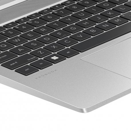 Ноутбук HP ProBook 455 G10 (719F6AV_ITM1)