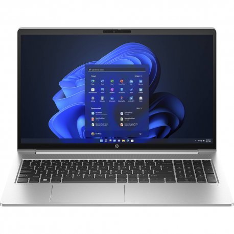 Ноутбук HP ProBook 455 G10 (719F9AV_ITM1)