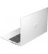 Ноутбук HP ProBook 455 G10 (719F9AV_ITM1)