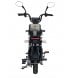 Електроскутер триколісний Maxxter E600 600 Вт Silver