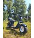 Електроскутер Maxxter Rock 2.0 2000 Вт Black