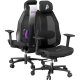 Ігрове крісло 1stPlayer Ergo Aero (ERGO-AR-BK)
