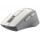 Беспроводная мышь A4Tech FG30 Grey/White Беспроводная мышь A4Tech FG30 Grey/White