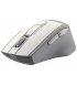 Беспроводная мышь A4Tech FG30S Grey/White