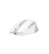 Бездротова миша A4Tech Fstyler FG35CS Plus White