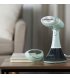 Отпариватель Russell Hobbs Turquoise (25592-56)
