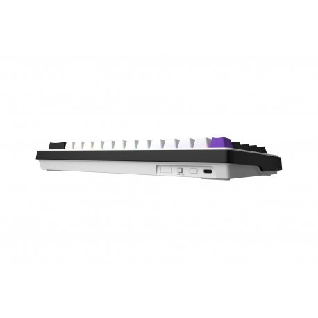 Клавиатура игровая Hator Hellyberry HK60 White/Violet
