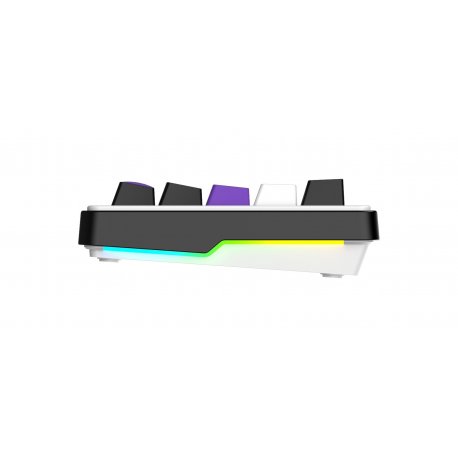 Клавиатура игровая Hator Hellyberry HK60 White/Violet