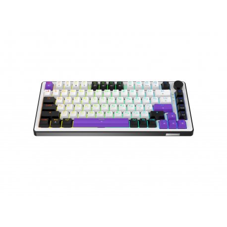 Клавиатура игровая Hator Hellyberry HK75 White/Violet