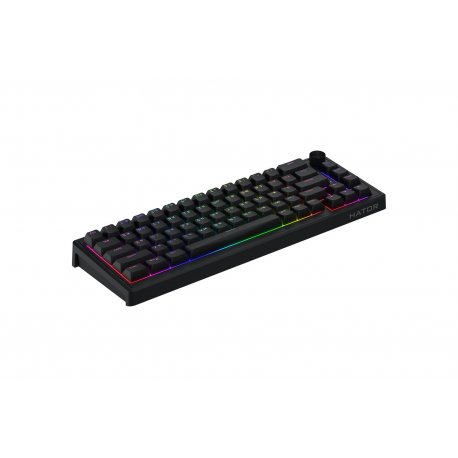Клавіатура ігрова Hator Skyfall 65 Black/Black (HTK1160UA)