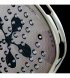 Ракетка для разделения Bullpadel Neuron 02 PP26 Beige (495214)