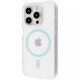 Чохол Proove Blossom Case для iPhone 16 Pro з MagSafe Mint (PCBLIP16P009)