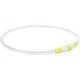 Ошейник для собак Trixie Flash Light Ring USB 35 см Green (12660) Ошейник для собак Trixie Flash Light Ring USB 35 см Green (12660)