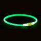Ошейник для собак Trixie Flash Light Ring USB 35 см Green (12660) Ошейник для собак Trixie Flash Light Ring USB 35 см Green (12660)