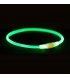 Нашийник для собак Trixie Flash Light Ring USB 35 см Green (12660)
